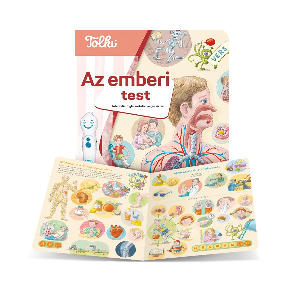 Az emberi test gyerekeknek